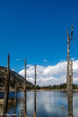 _IMG5517