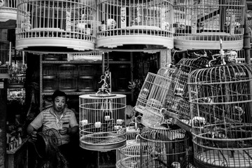 20150520-_MG_0016-编辑