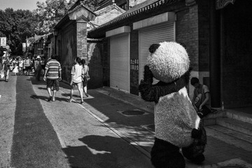 20150816-20150816-_MG_0044-编辑