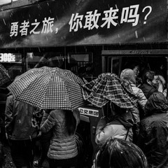 L1006173-编辑_Snapseed