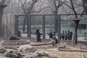 20161218动物园-31