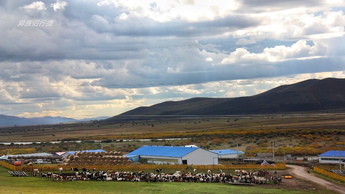 蒙古舞蹈 草原上升起