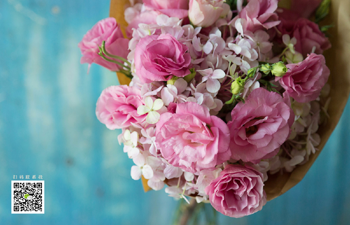 洋桔梗无刺玫瑰原创商业摄影