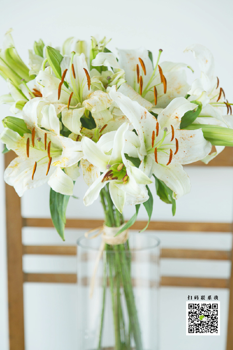 香水百合-卡萨布兰卡【原创商业摄影】