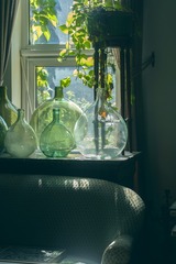 _Y2A5455