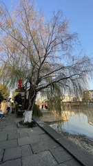 7E12DF23-7752-4621-BA36-05AF92448EA2/L0/001