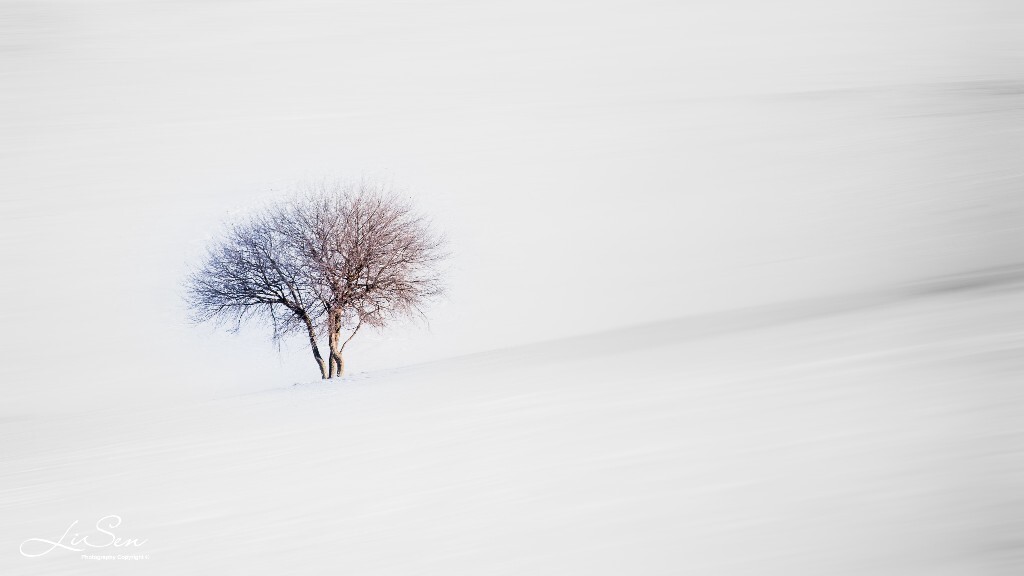 雪地里的一颗孤树<br />
原本正在皑皑白雪上四处奔波拍摄雾凇，突然发现远处的小树在侧顺光下虽然看不出雾凇的样子，却正好有着冷暖两面，别有风趣