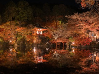 DSC06636-Pano-编辑