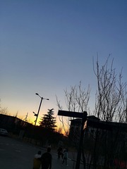 1154316