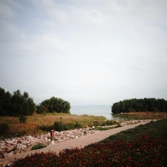 R0015702