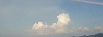 1143254