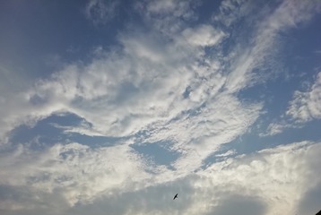 1061371