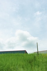 58A4988E-CCB9-41CE-A706-D59B681E360D/L0/001