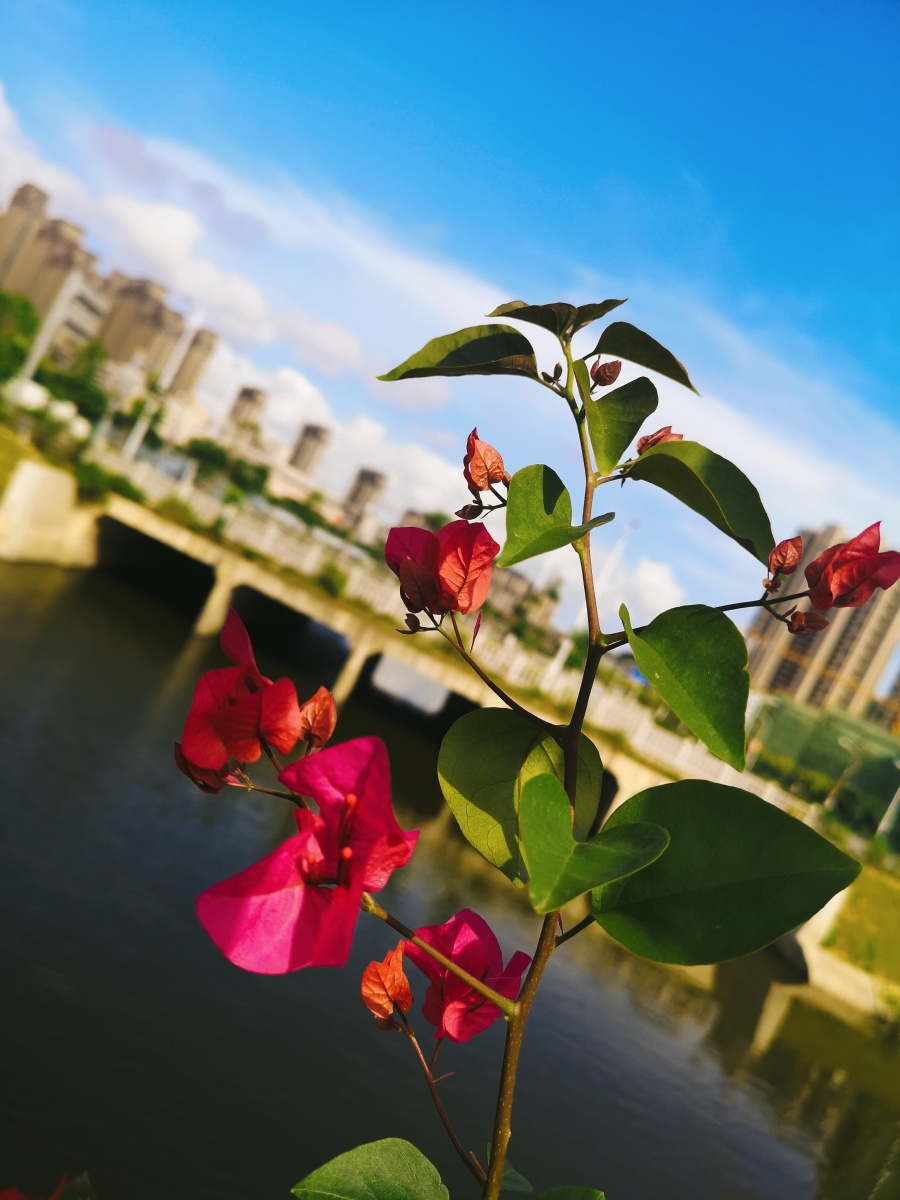 只要你有双发现美的眼睛身边处处都是一道风景线