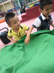 2267392
