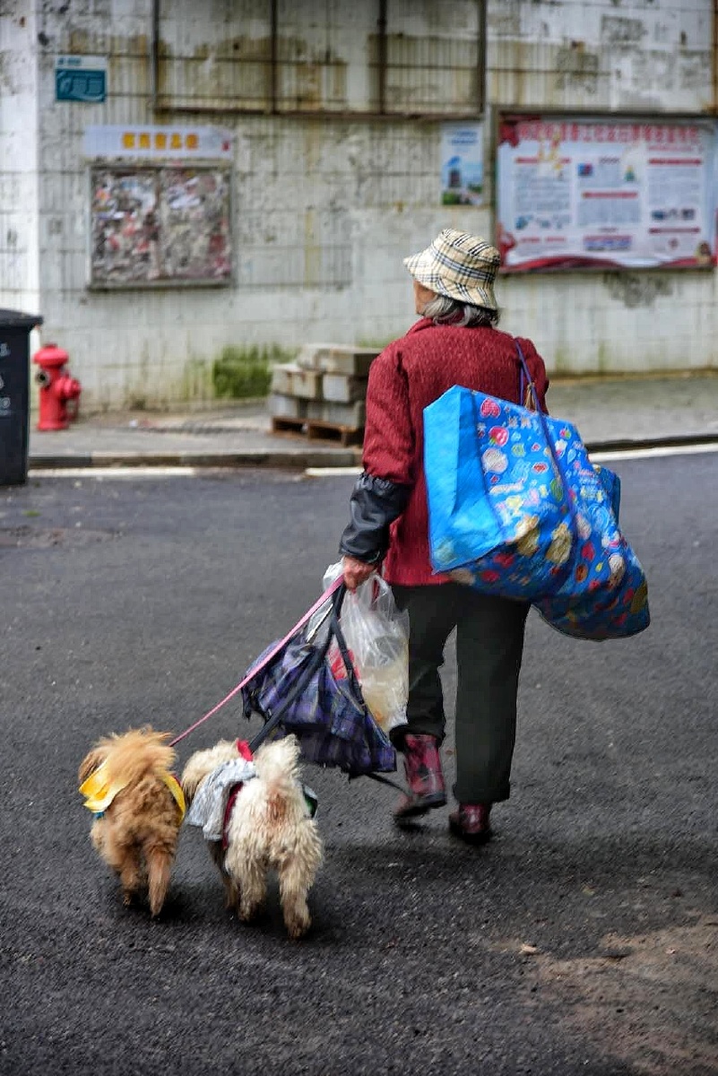 牵着狗狗去流浪一拾荒老太太