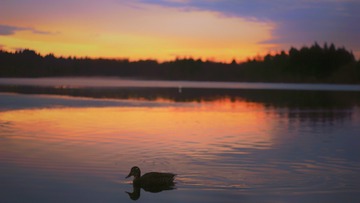 563CF4AD-1D3D-4912-AD23-9355B4DAFDBA/L0/001