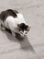 845205