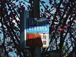 1567765