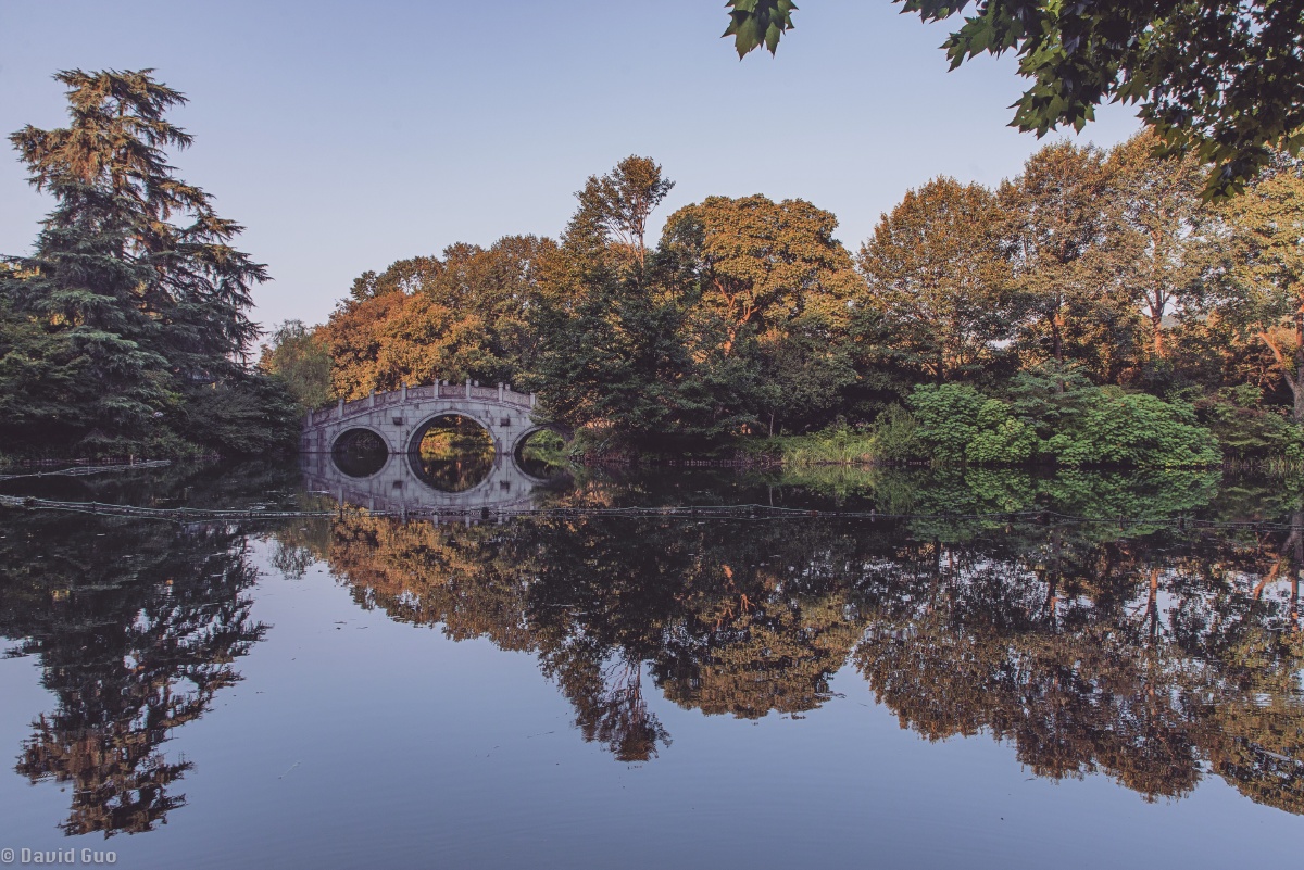 西湖,杨公堤 - david guo - 图虫