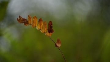 2183222