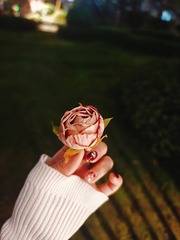 1000054812