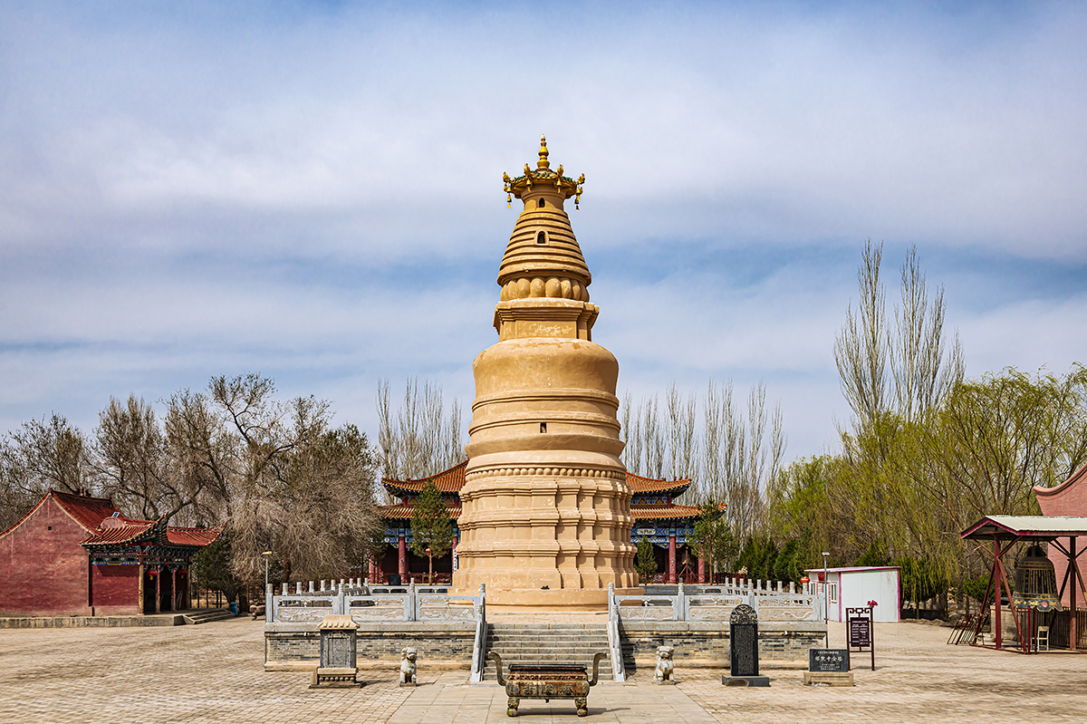 金塔县塔院寺春天