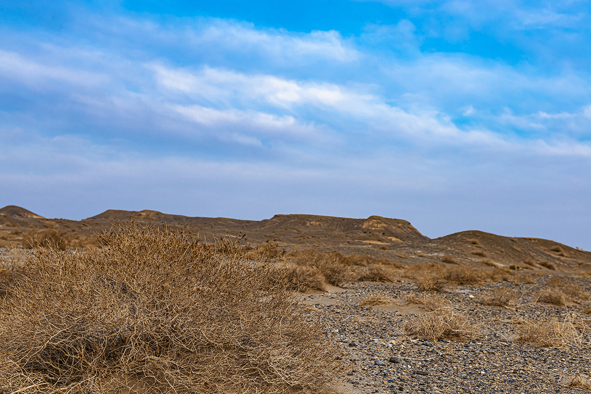嘉峪关草湖湿地公园初春荒草地 - 一铁方泓 - 图虫