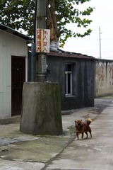 IMG_4191 