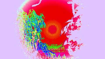 春天4