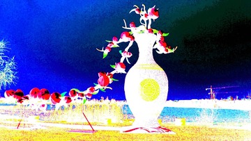 花盆_9