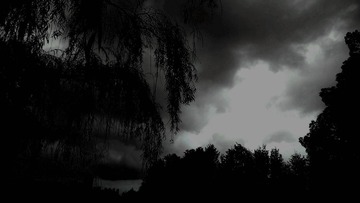 风雨欲来_1