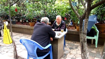 队联