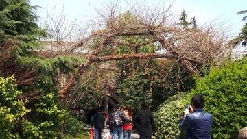 P1010100