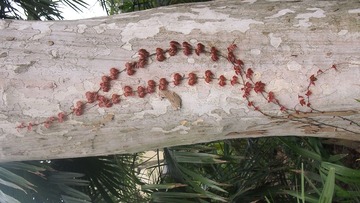 P1010187
