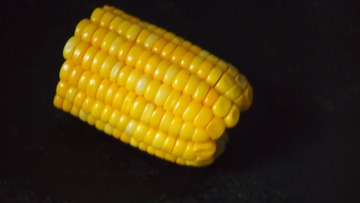 P1010036