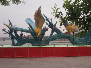 P1010029