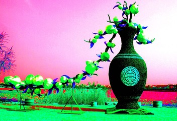 花的世界9____