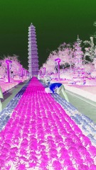 铁塔远眺1_
