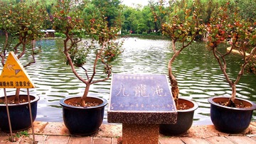 昆明翠园九龙池景色