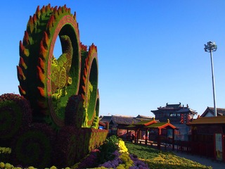 菊城