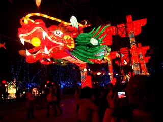 龙