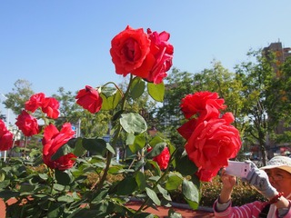 P1011491