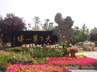 P1011913