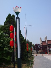 P1011941