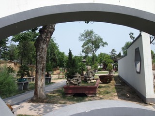 盘景园6