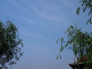 夏季的天空1