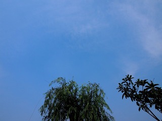 夏季的天空2