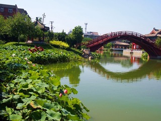 御河秋景7_