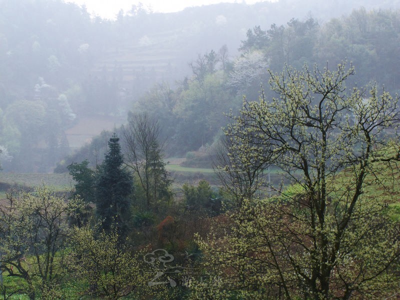 这里的山虽然不能与高山峻岭相比,也没有什么出色的名山,但典型的喀斯特地貌,每座山几乎完全由石灰岩石构成,一座又一座兀然的乳峰,独立而不孤独,形成了独特石山风景。